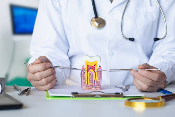 Best Urgent Tooth Repair  in Hendersonville, TN